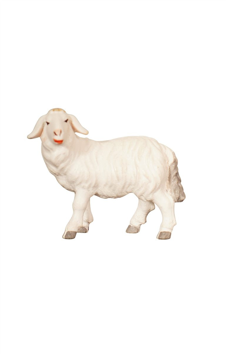 ZI Schaf stehend linksschauend