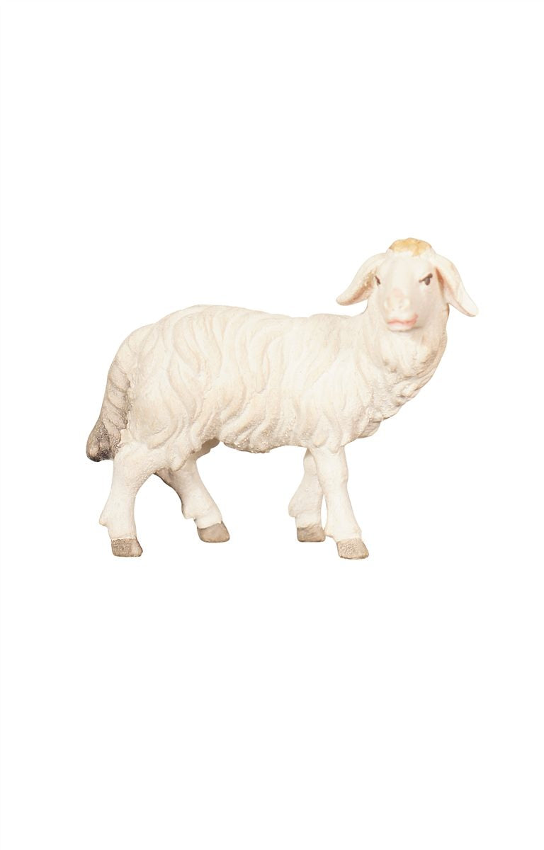 ZI Schaf stehend rechtsschauend