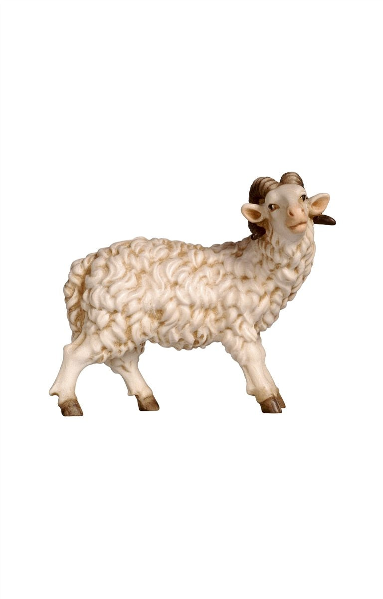 RA Widder