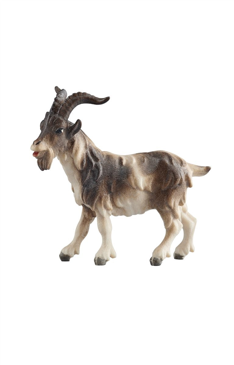 RA Ziegenbock