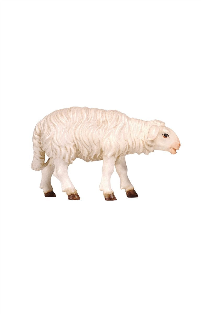 RA Schaf stehend vorwärtssch.