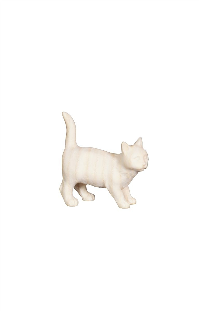 AD Katze