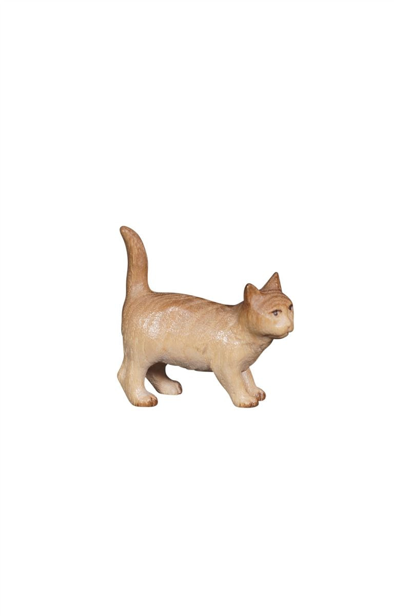 PE Katze