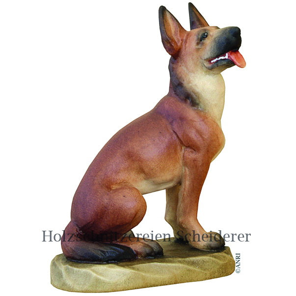 Schäferhund ANRI Ulrich Bernardi