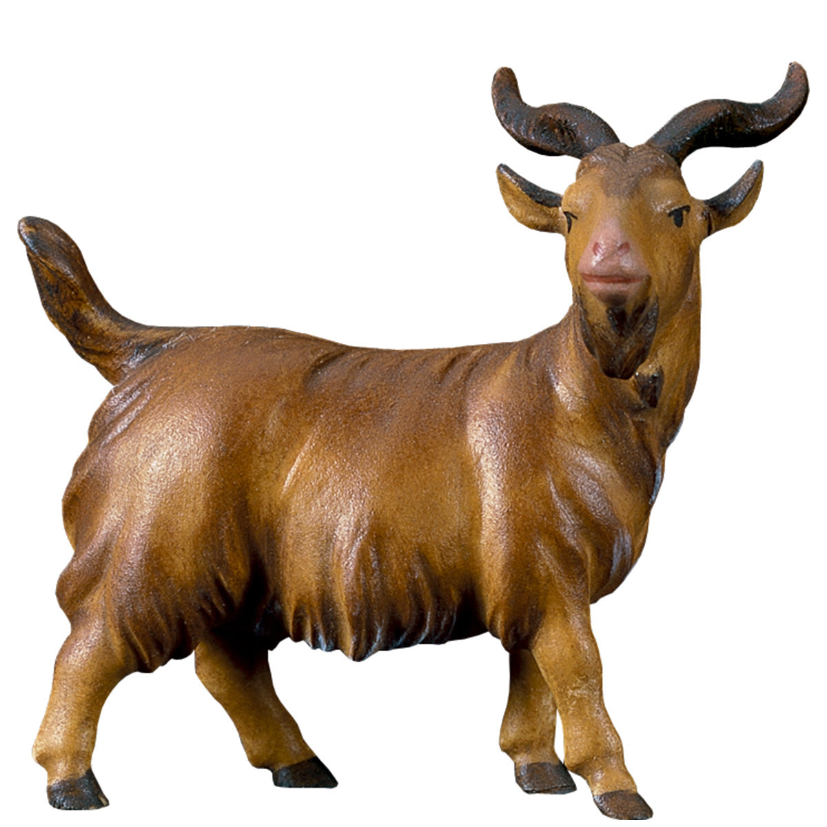 HE Ziegenbock