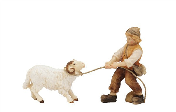 Junge ziehend mit Schafbock