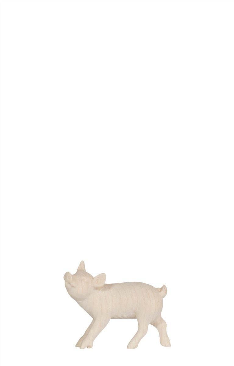 KO Ferkel stehend