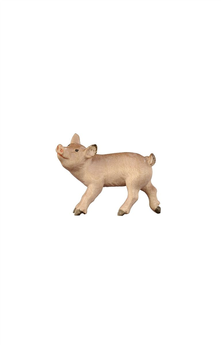 KO Ferkel stehend