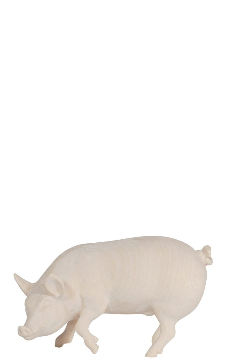 RA Schwein