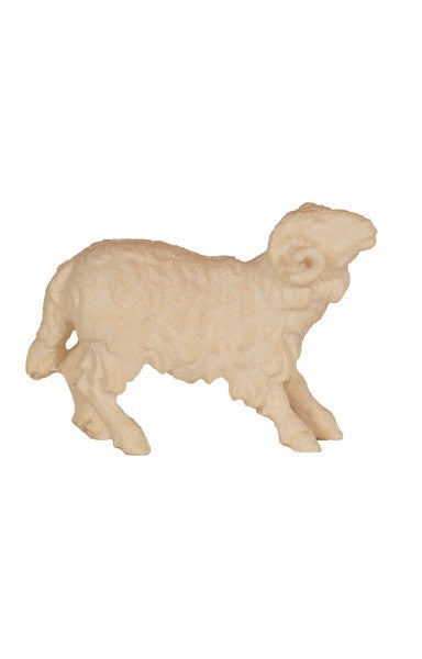 Schafbock