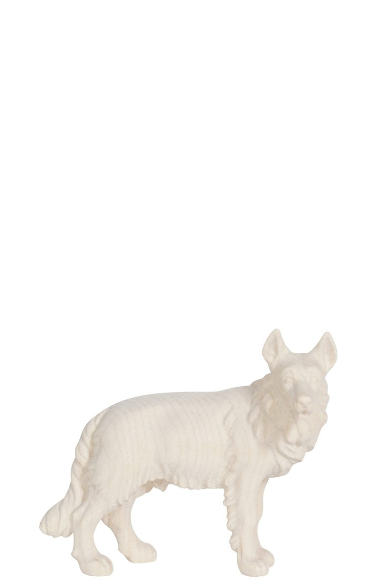 KO Schäferhund