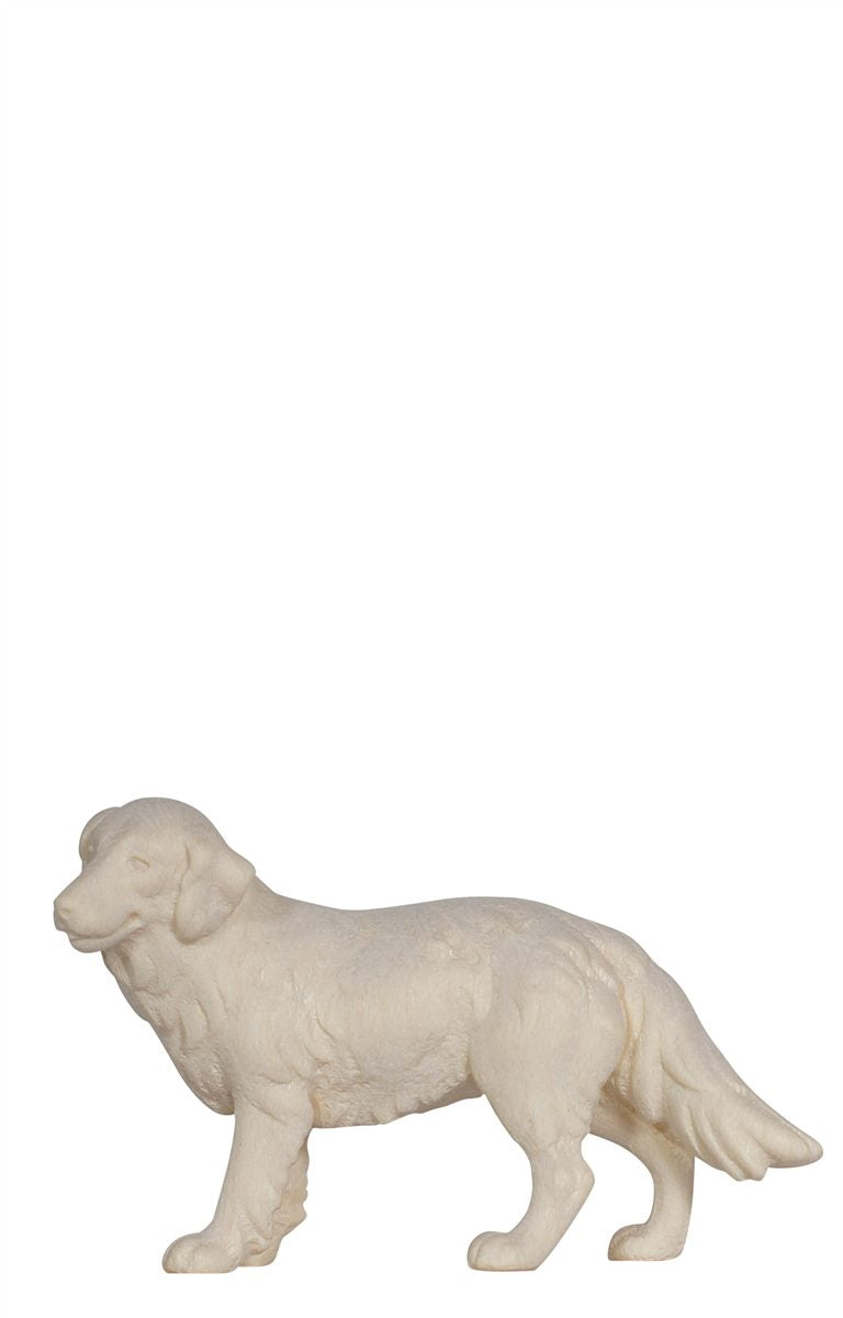 KO Hirtenhund