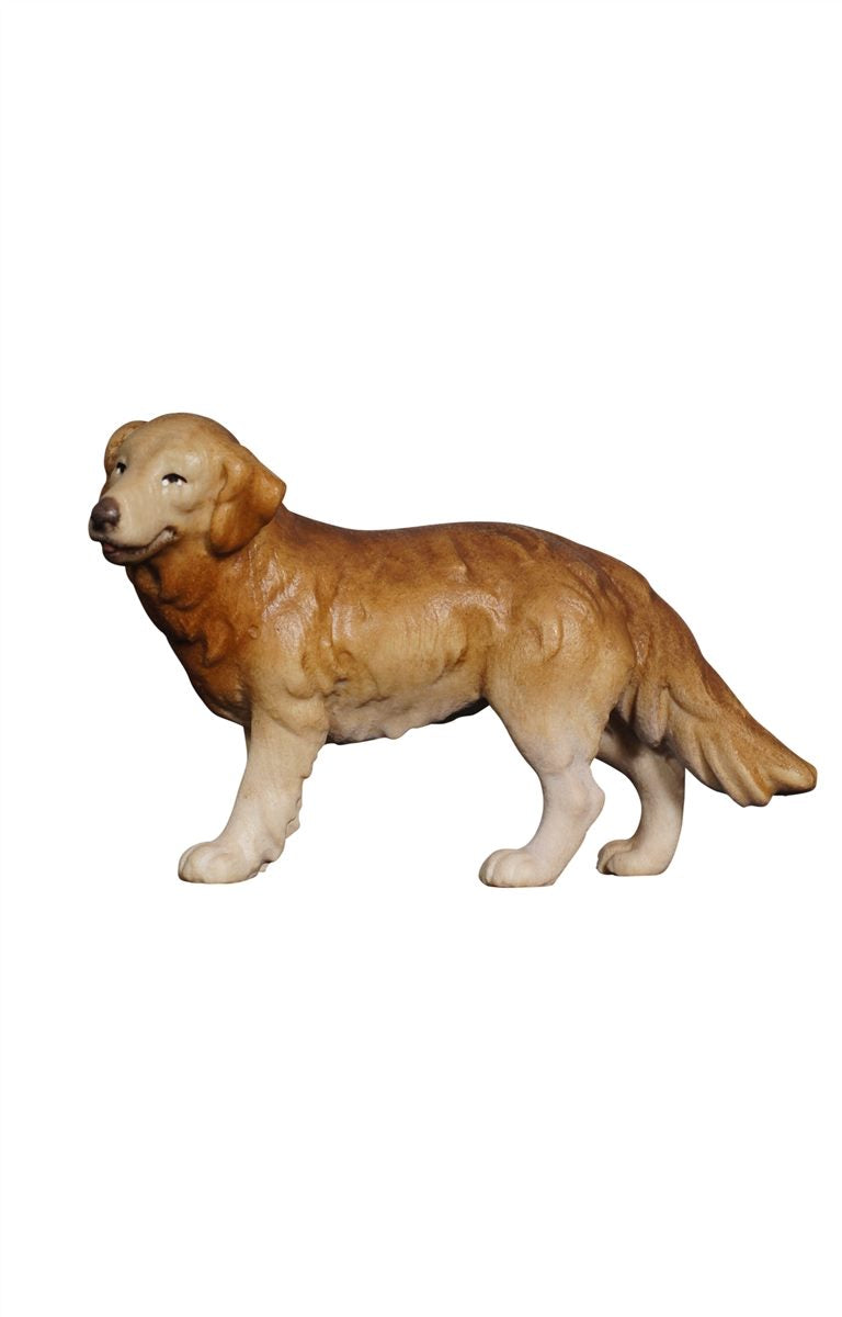 KO Hirtenhund