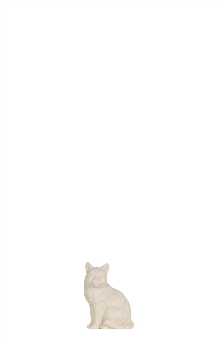MA Katze