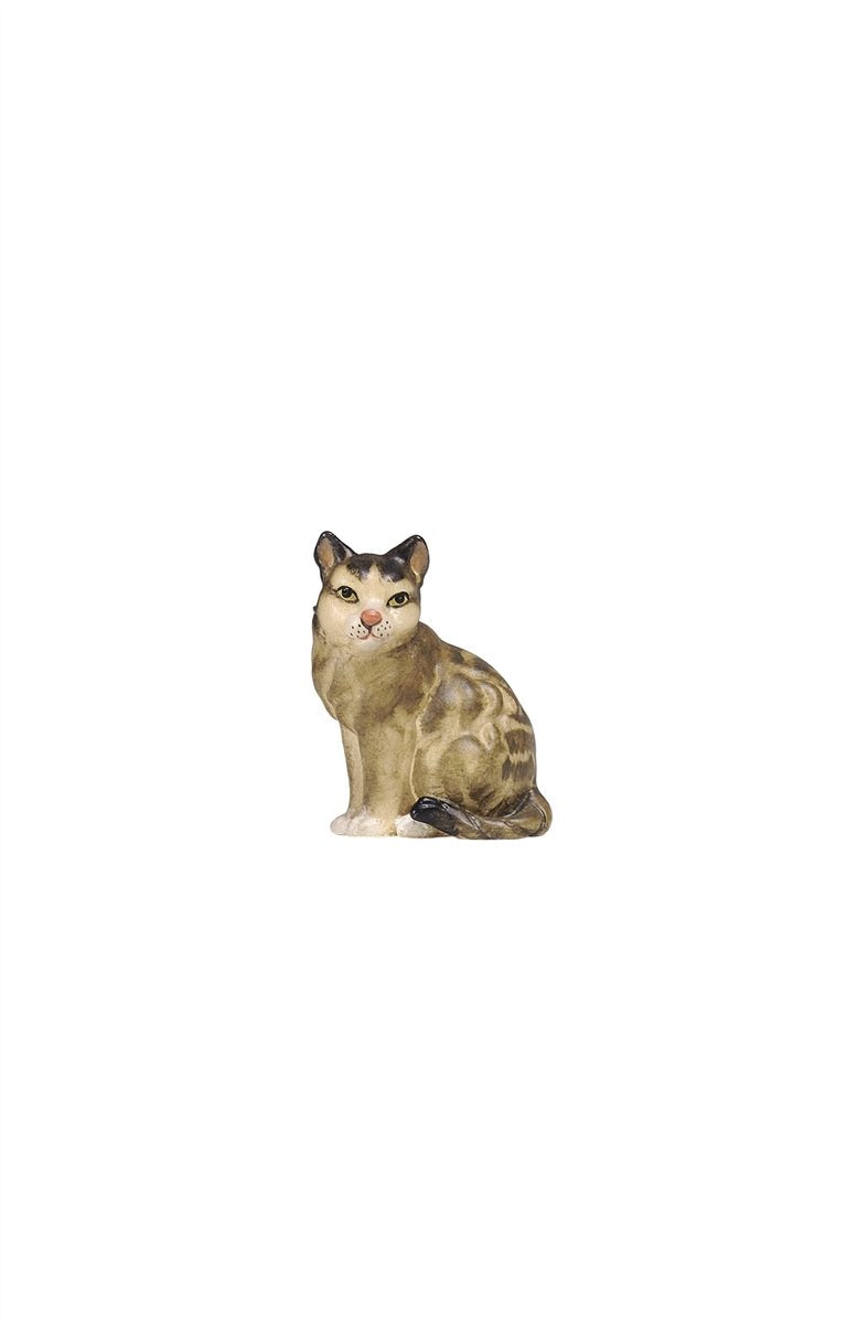 RA Katze