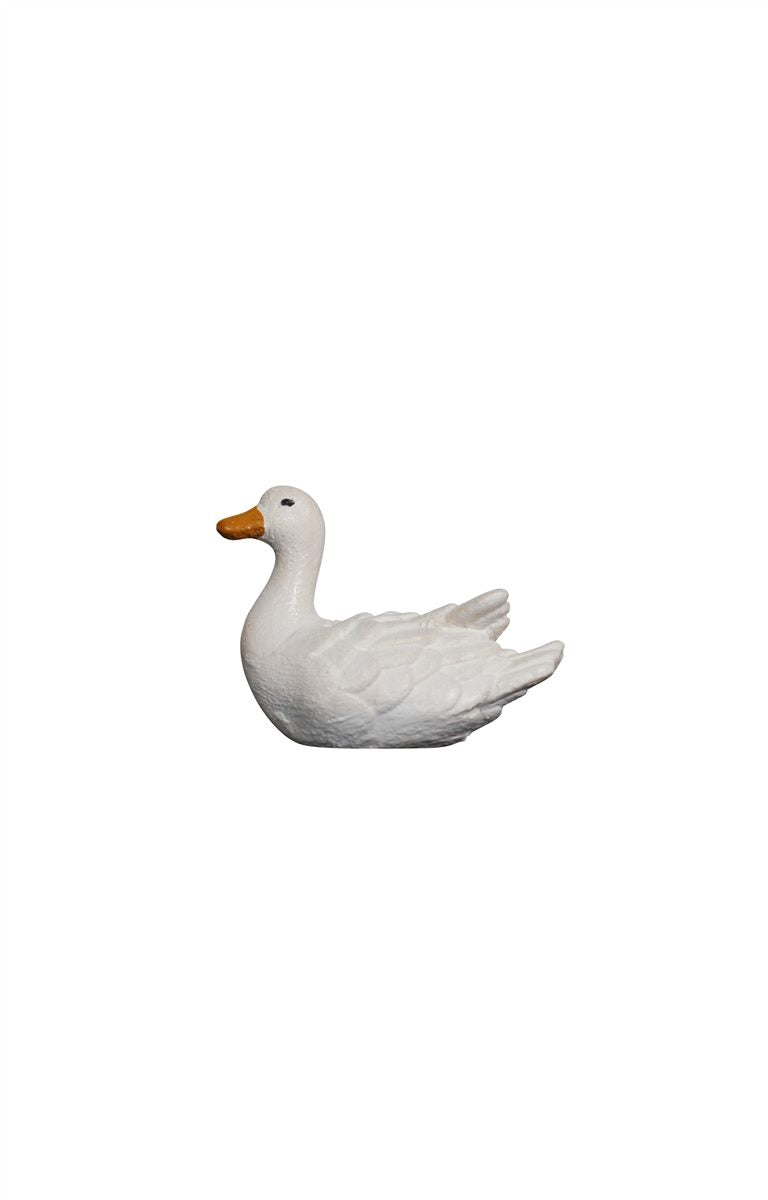 Ente schwimmend links