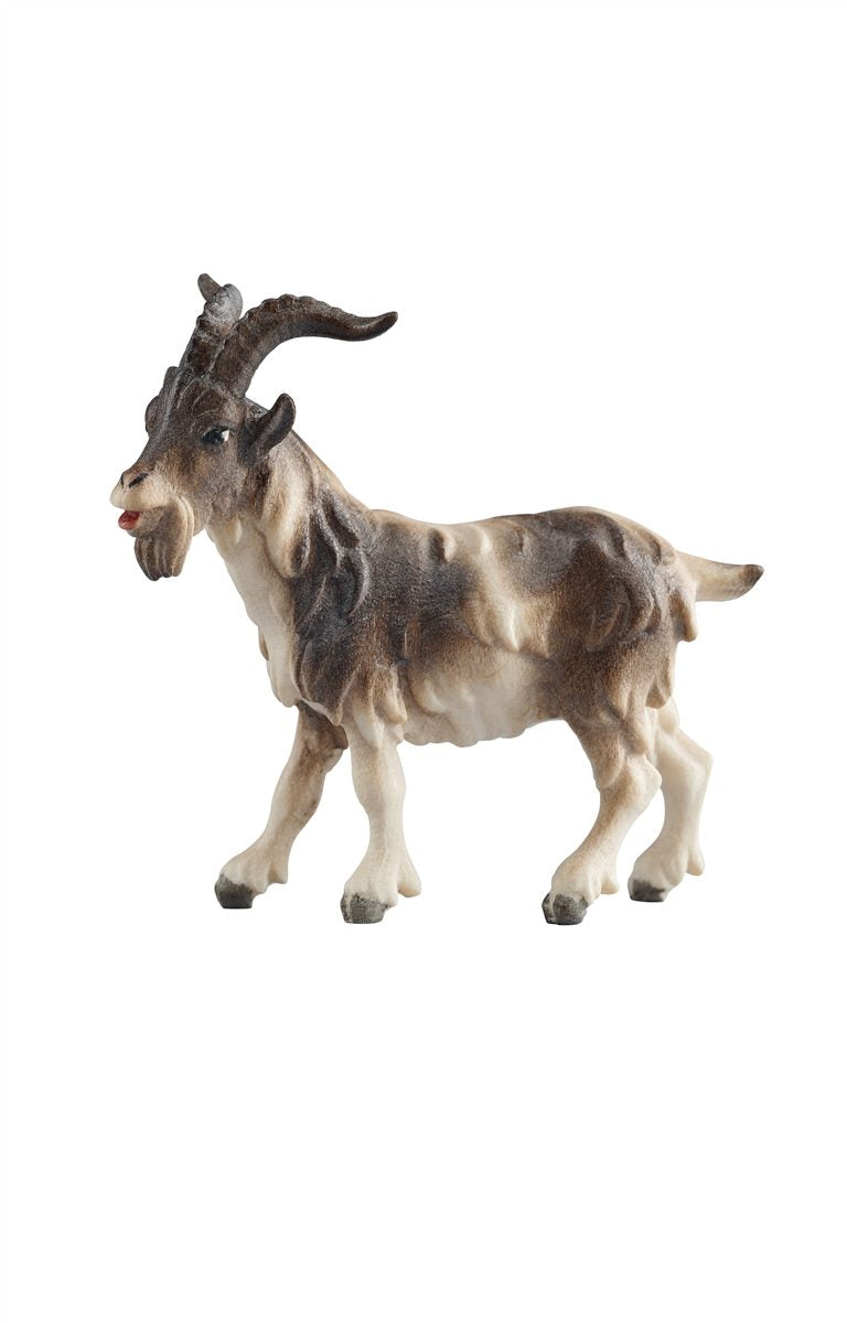 KO Ziegenbock