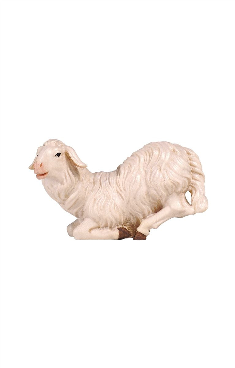 KO Schaf kniend