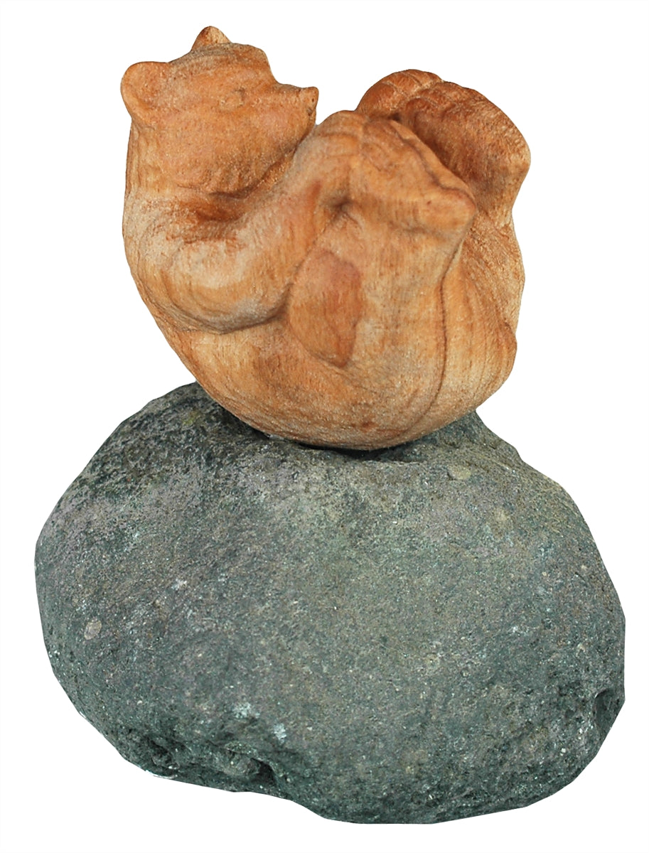 Bär am Rücken auf Stein