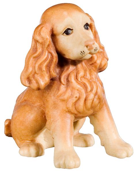 Cocker sitzend