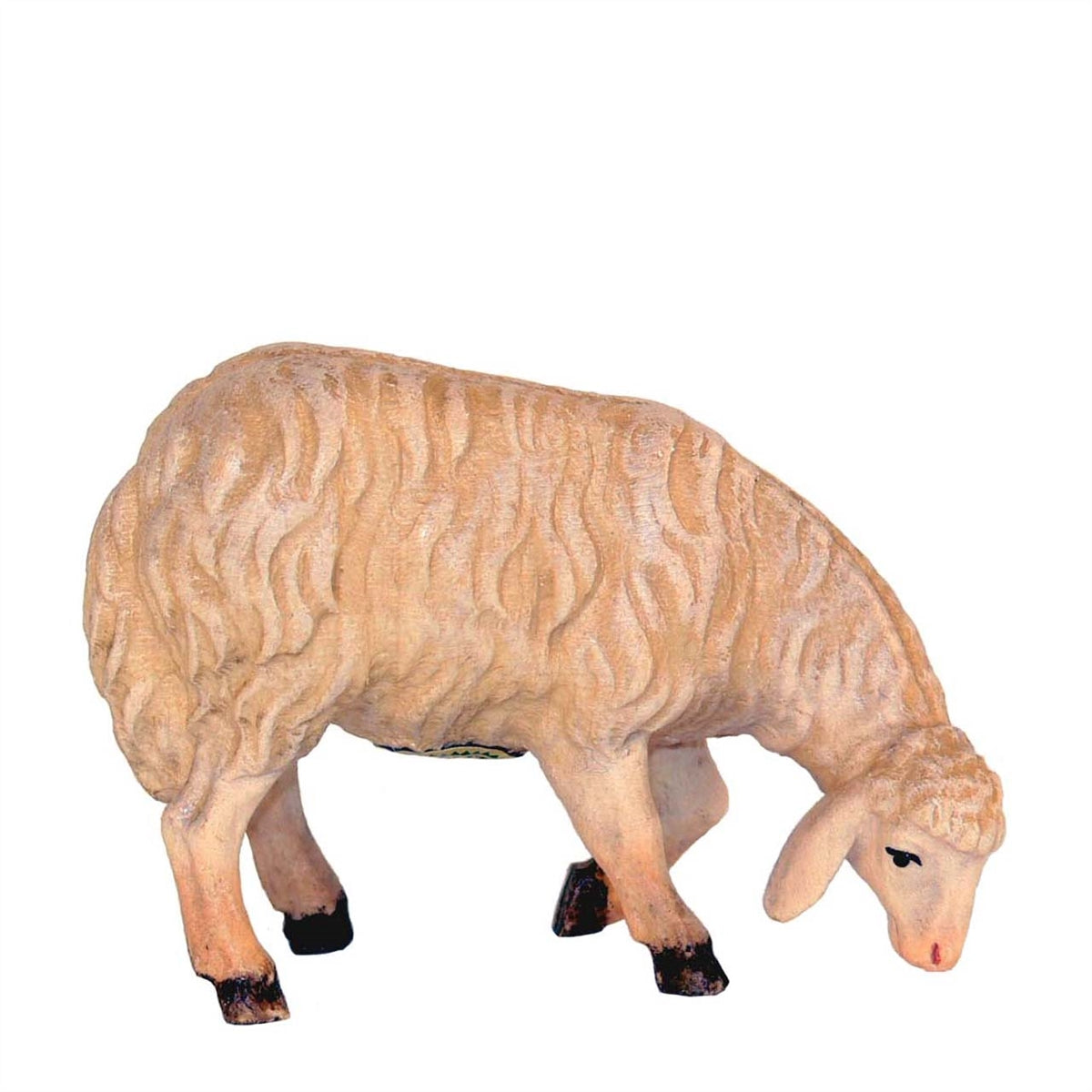 Schaf äsend rechts