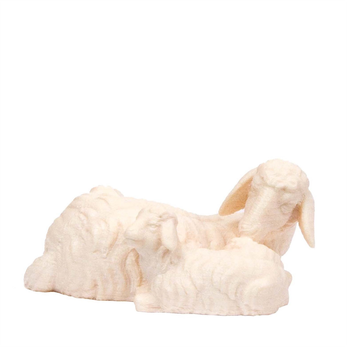 Schwarzes Schaf liegend mit Lamm