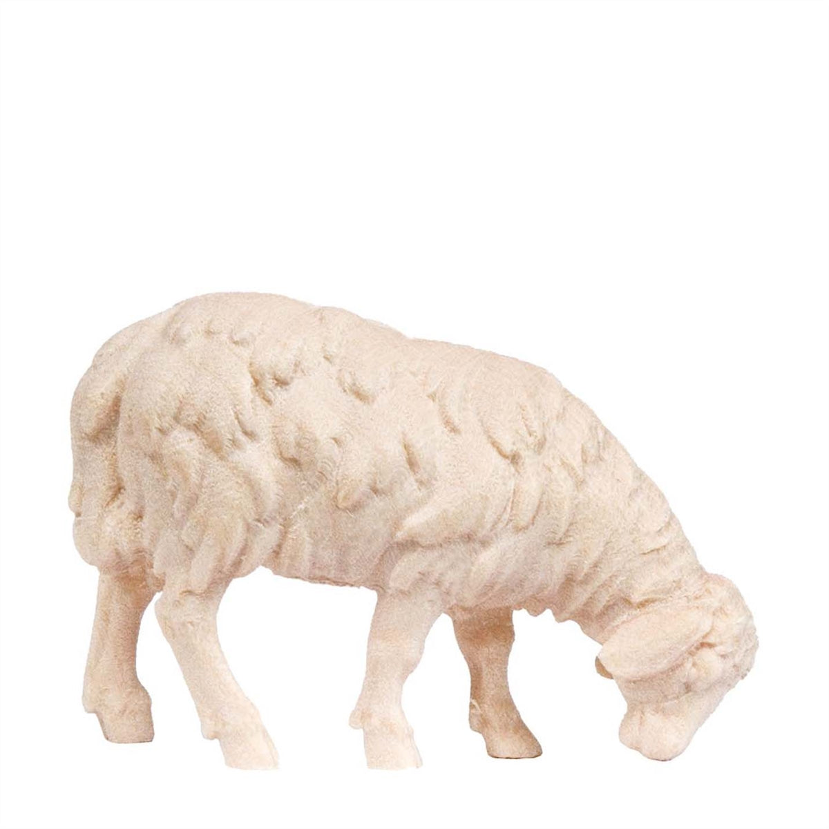 Schaf neu äsend