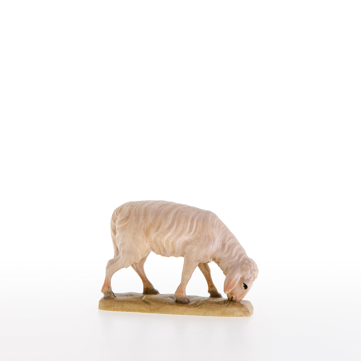 Abweidendes Schaf
