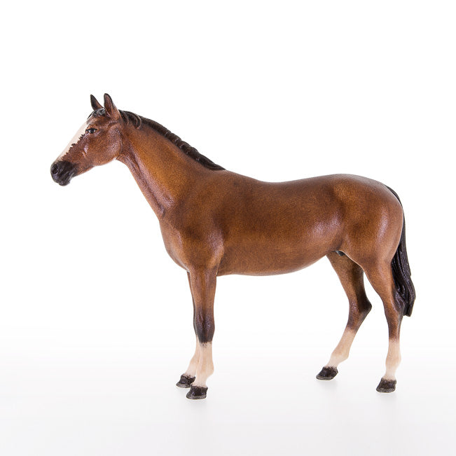 Pferd