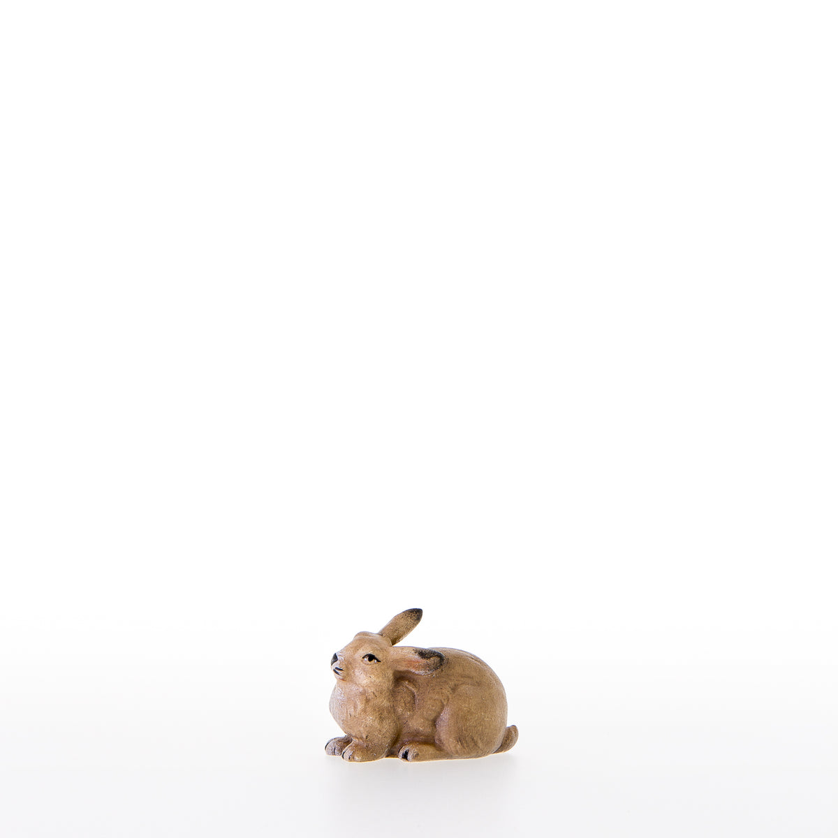 Hase