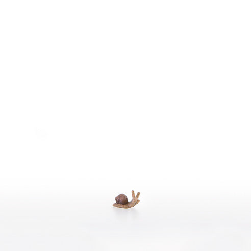 Kleine Schnecke