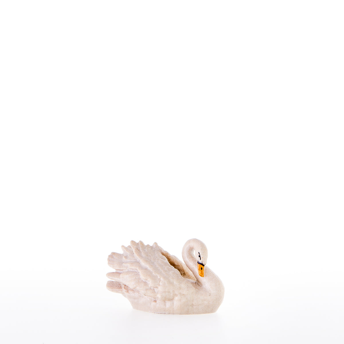Schwan