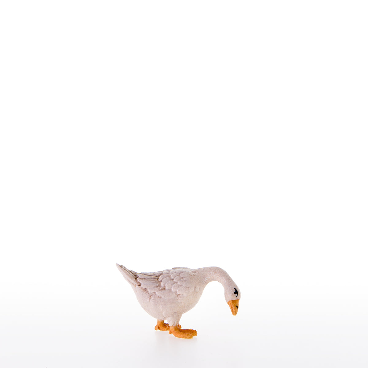 Gans nach unten schauend