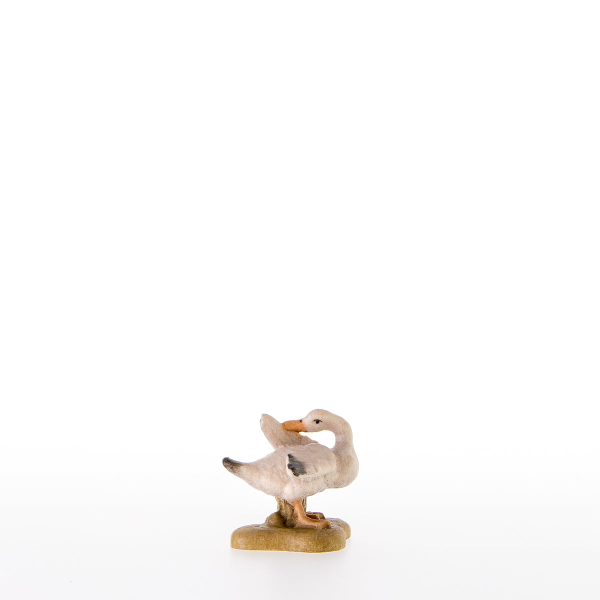 Ente mit Kopf zurueck
