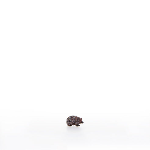 Igel nach unten schauend
