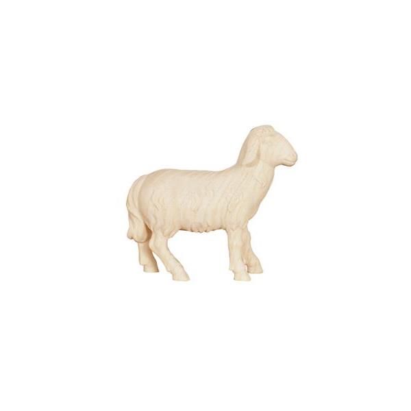 Advent Krippe Schaf stehend vorwärtssch. - natur