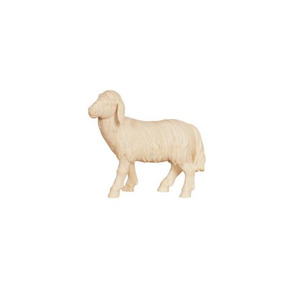 Advent Krippe Schaf stehend linkssch. - natur