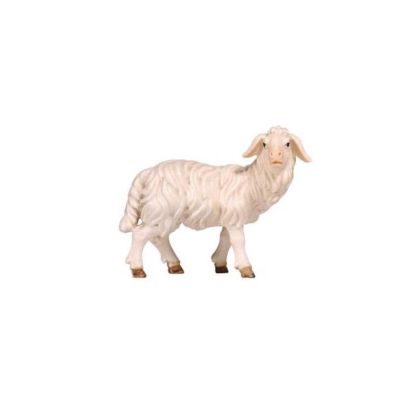 Rainell Krippe Schaf stehend rechtsschauend - bemalt