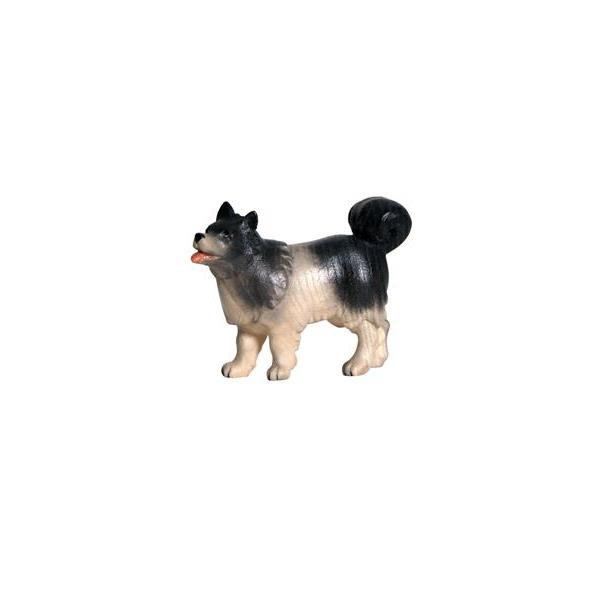 Pema Krippe Hund Spitz - Lasiert Wasserfarben