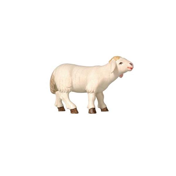 Pema Krippe Schaf stehend vorwärtsschauend - Lasiert Wasserfarben