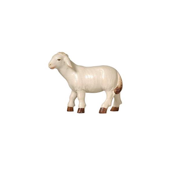 Pema Krippe Schaf stehend linksschauend - Lasiert Wasserfarben