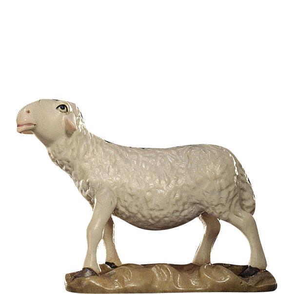 Schaf schauend - bemalt