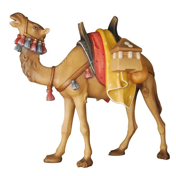 Kamel - bemalt