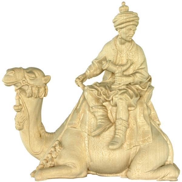 König auf Kamel o.S. - natur
