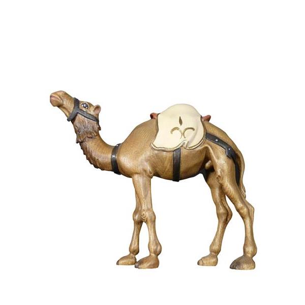 Kamel - bemalt