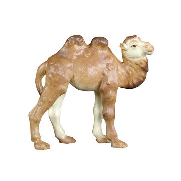 Costa Krippe Kamel klein - bemalt